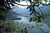 IMG_3764.JPG